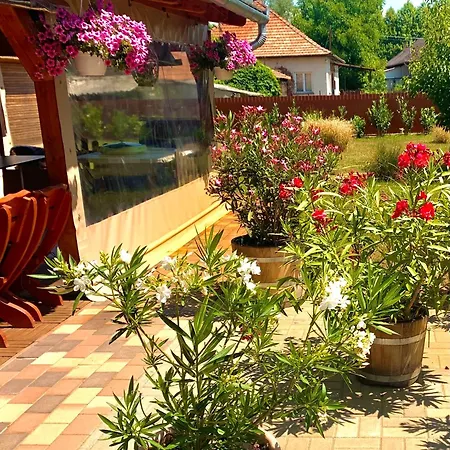 Aranyfuert Vendeghaz Gold * Tokaj