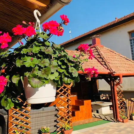 Aranyfuert Vendeghaz Gold Apartament