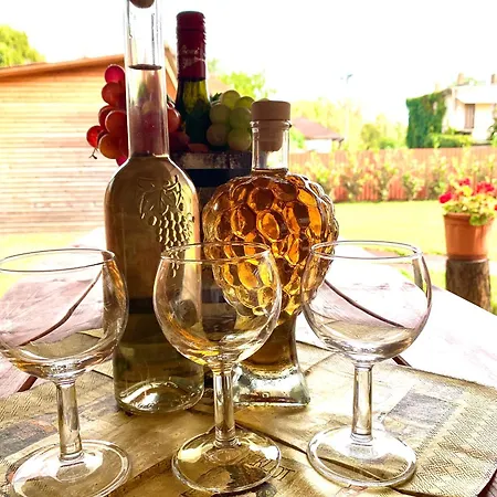 Apartament Aranyfuert Vendeghaz Gold