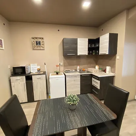 Aranyfuert Vendeghaz Gold Apartament *