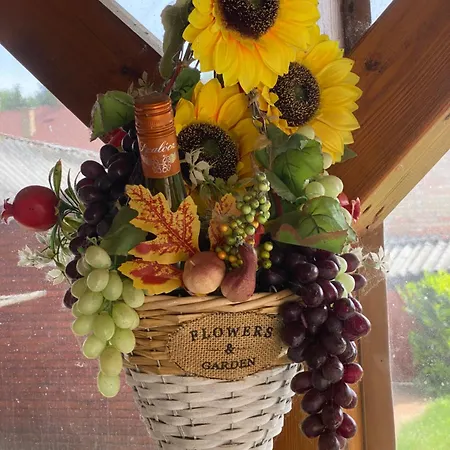 Apartament Aranyfuert Vendeghaz Gold