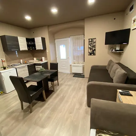 Apartament Aranyfuert Vendeghaz Gold