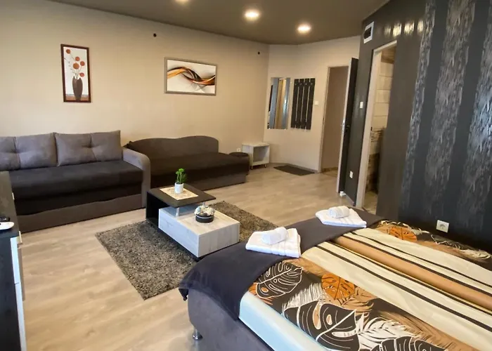 Aranyfuert Vendeghaz Gold Apartment Tokaj